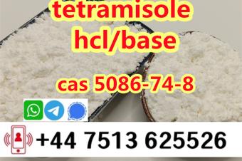 cas 5086748 tetramisole hcl base strong effect export to Europe